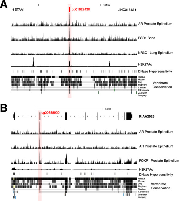 graphic file with name elife-92968-fig3.jpg