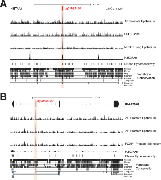 graphic file with name elife-92968-fig4.jpg