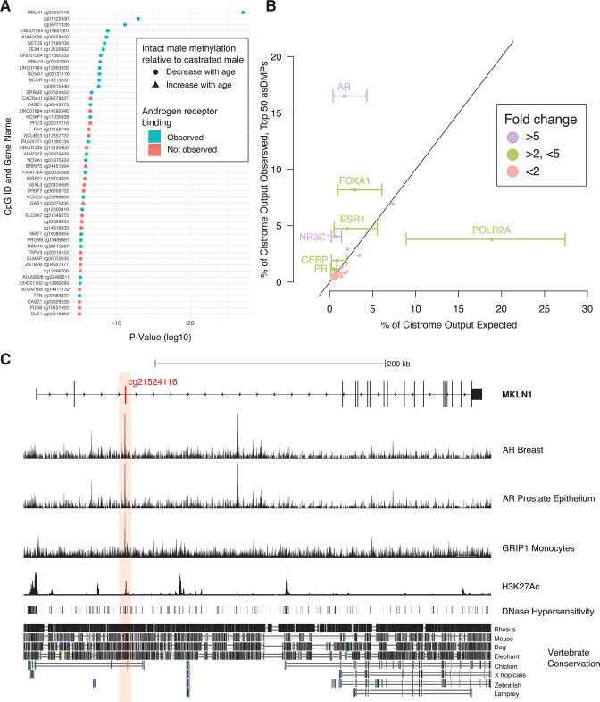 graphic file with name elife-92968-fig2.jpg