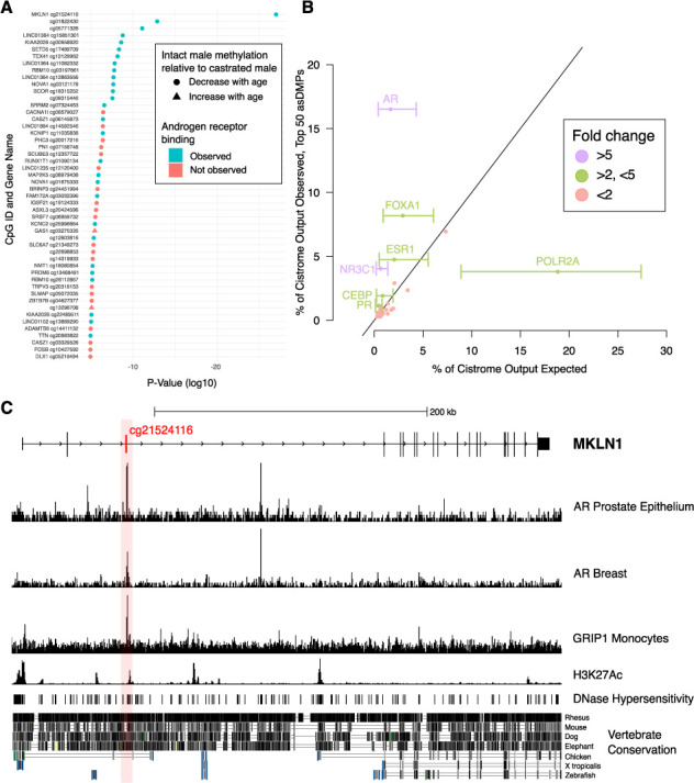 graphic file with name elife-92968-fig1.jpg