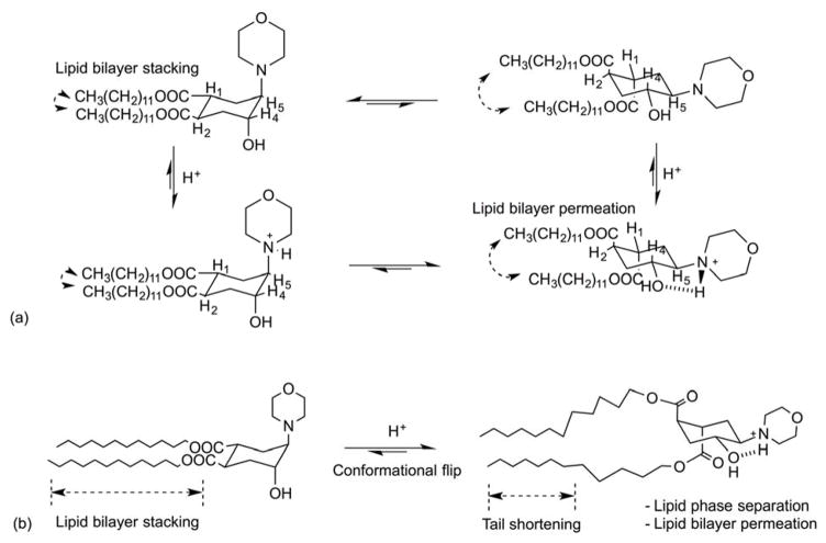 Fig. 12