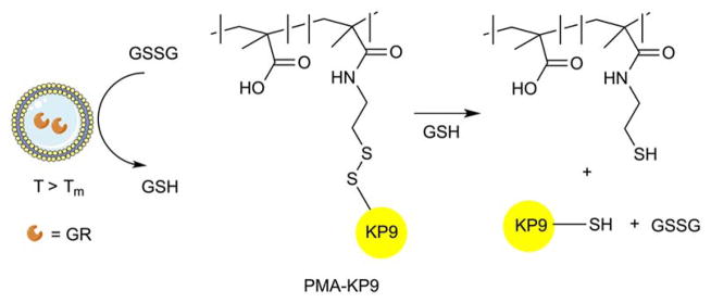 Fig. 22