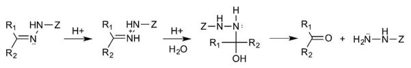 Fig. 16