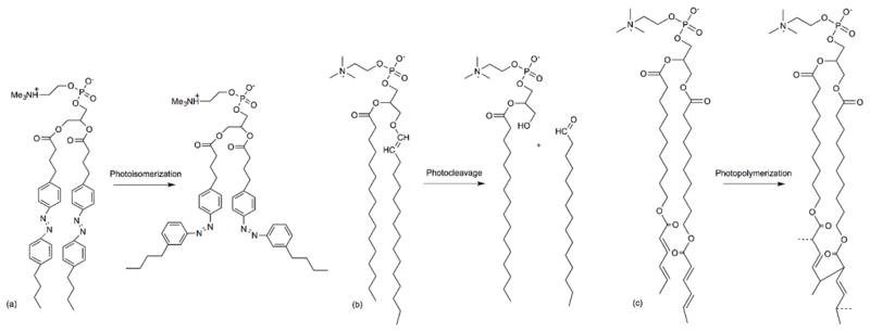 Fig. 30