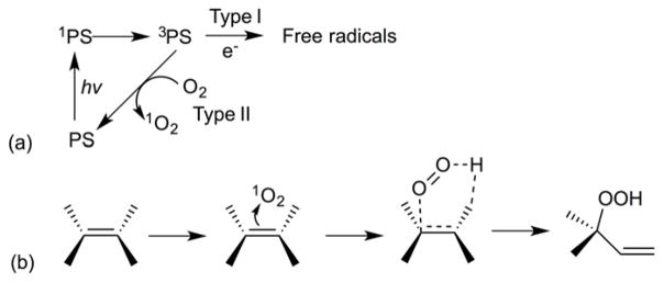 Fig. 31