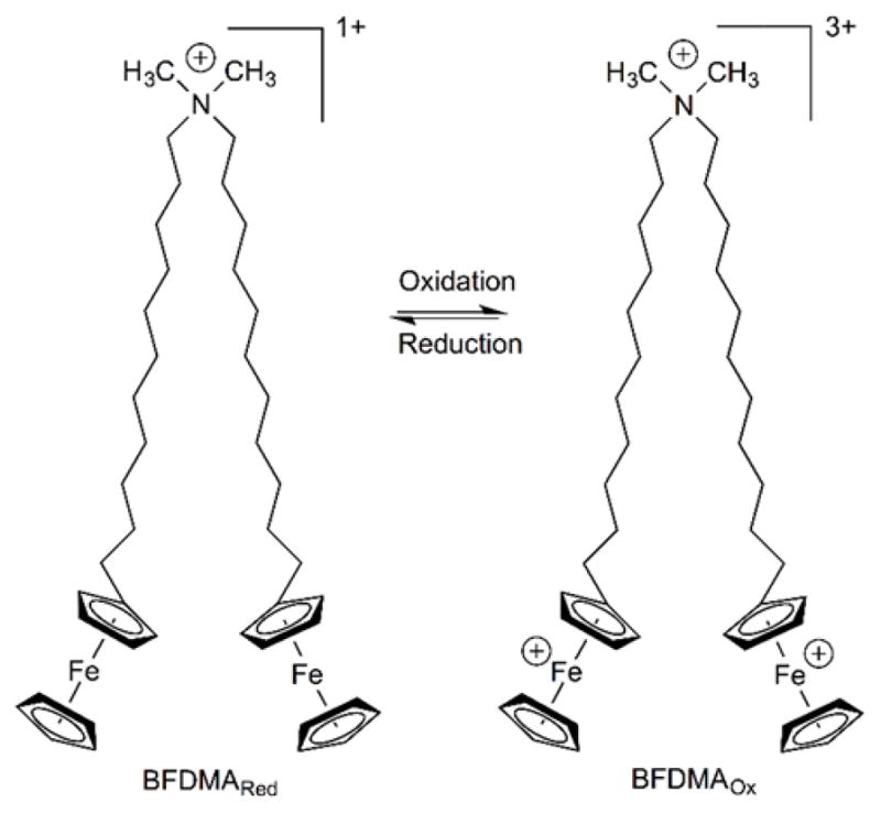 Fig. 29