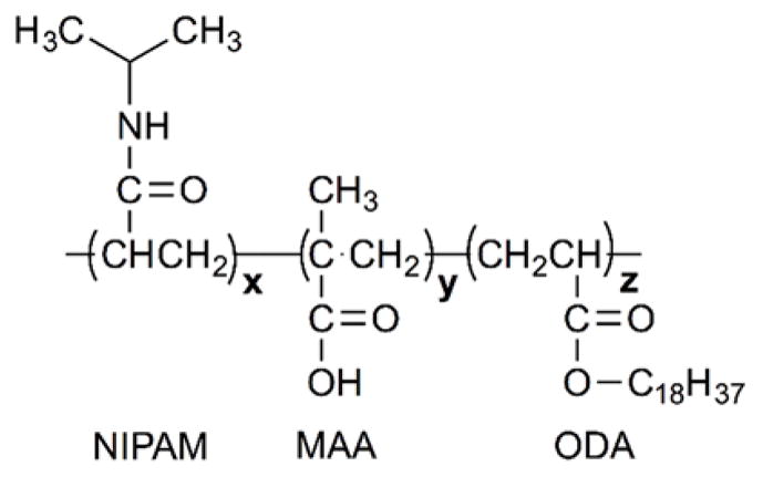 Fig. 20