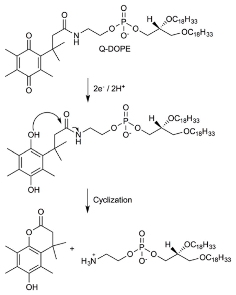 Fig. 28