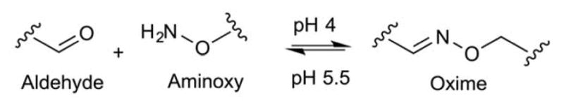 Fig. 17