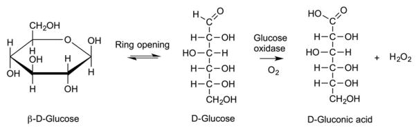 Fig. 21