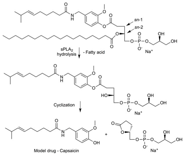 Fig. 18