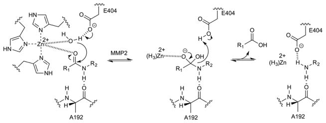 Fig. 19