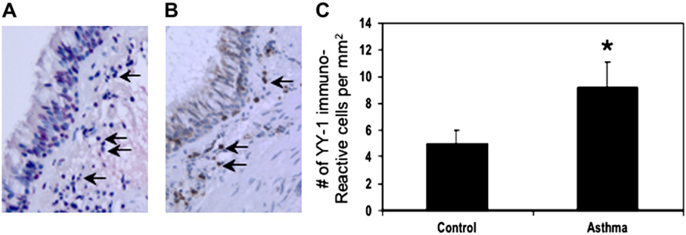 FIG 4.