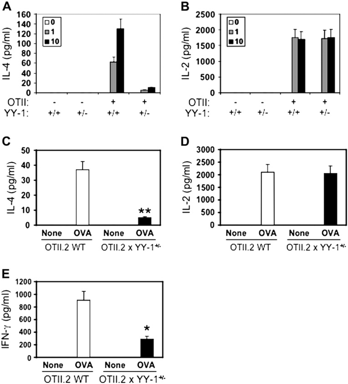 FIG 2.