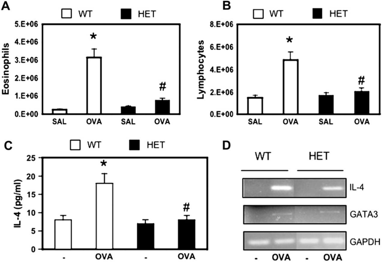 FIG 3.