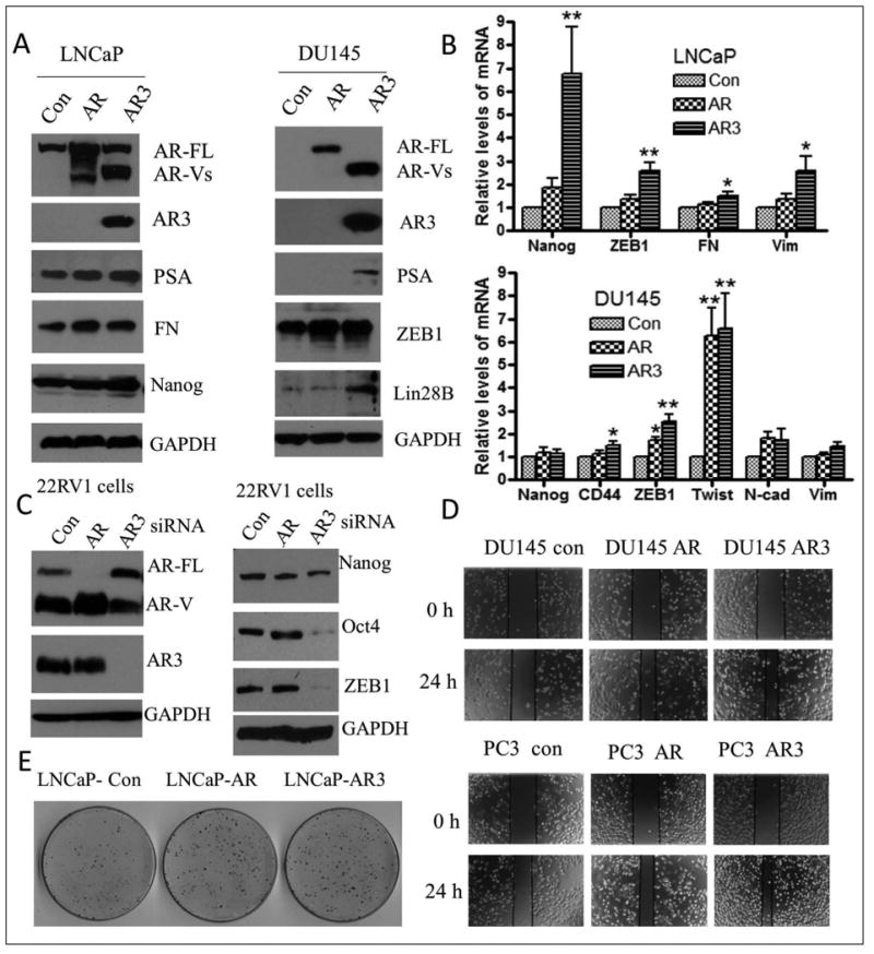 Fig-2