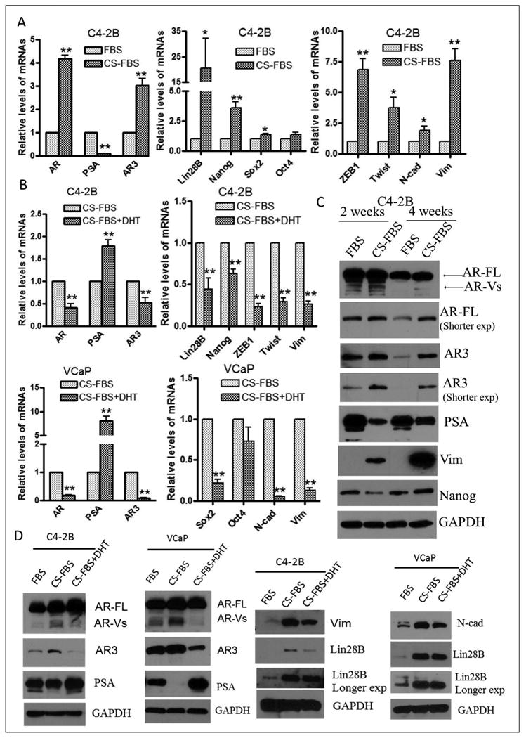 Fig-4