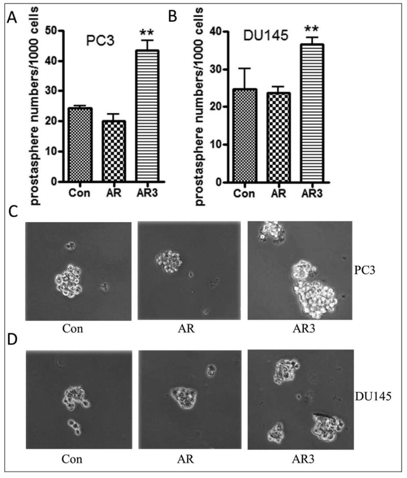 Fig-3