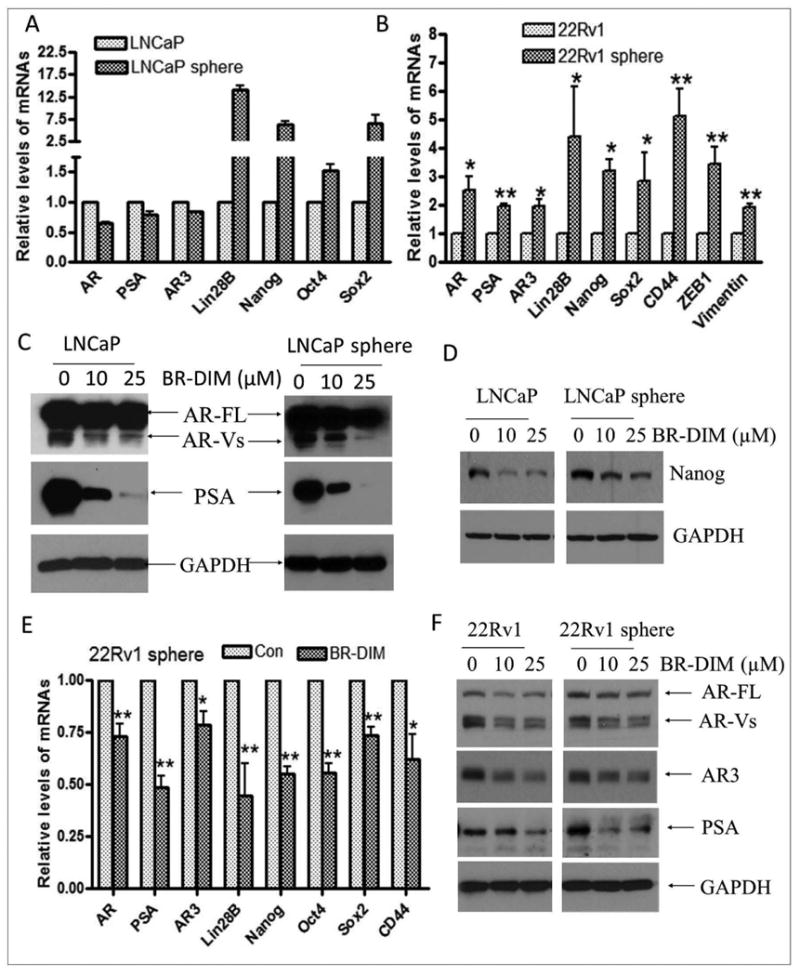 Fig-6