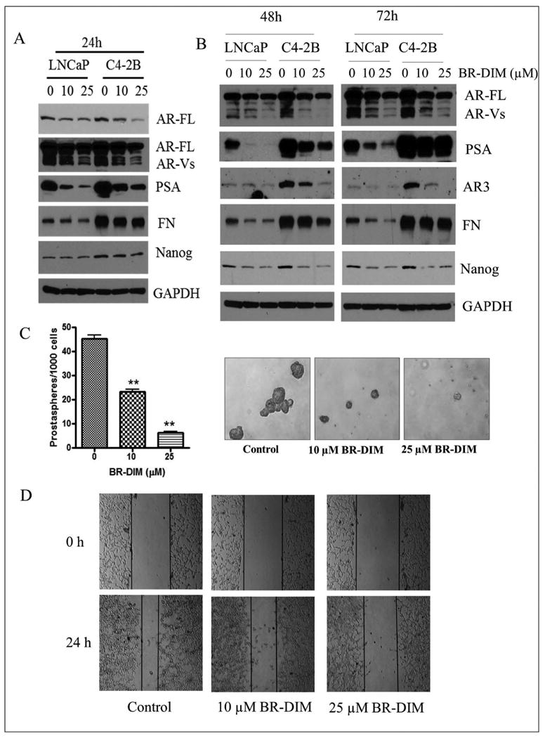 Fig-7