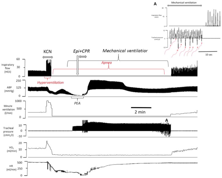 Fig. 7