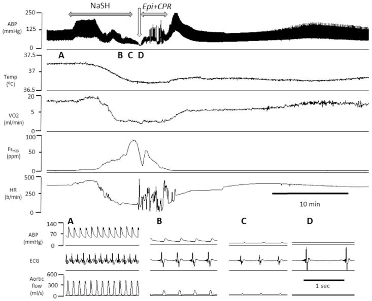 Fig. 10