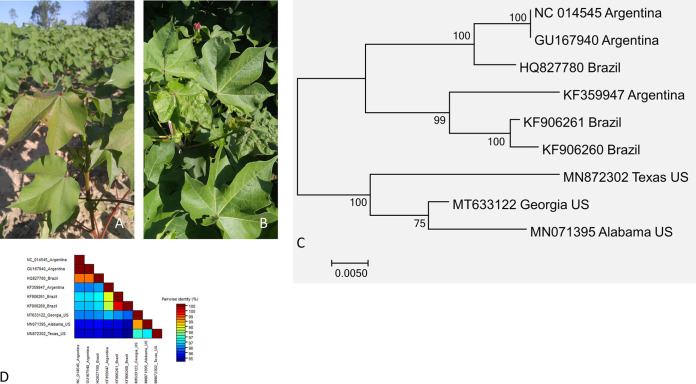 FIG 1