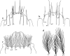 Fig. 12