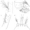 Fig. 35