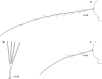 Fig. 17