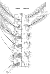 Fig. 5