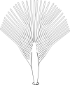 Fig. 16