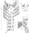 Fig. 1
