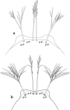 Fig. 66
