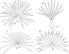 Fig. 11