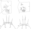 Fig. 42