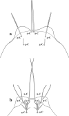 Fig. 59