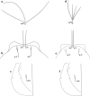 Fig. 46
