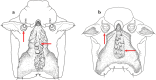 Fig. 47