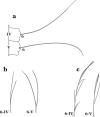 Fig. 24