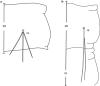 Fig. 18