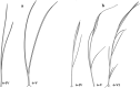 Fig. 45