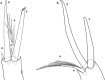 Fig. 65
