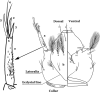 Fig. 3