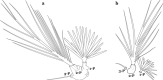 Fig. 32