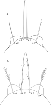 Fig. 30
