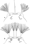 Fig. 57