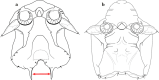 Fig. 49