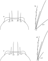 Fig. 19