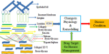 Image, graphical abstract